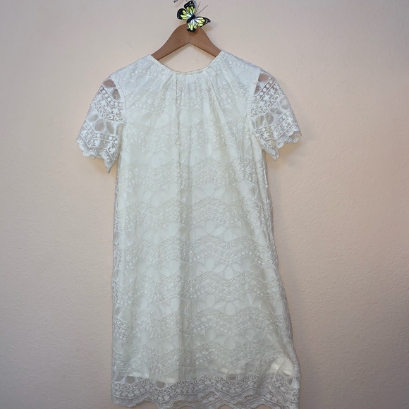 Zara Beige Cream Lace Short Sleeve Dress Small - Picture 3 of 8